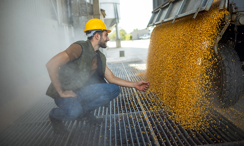 Agriculture