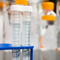 Les Procédures de Laboratoire Lean pour l’Équipement de Pesage