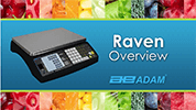 Aperçu de la Balance Poids-Prix Raven